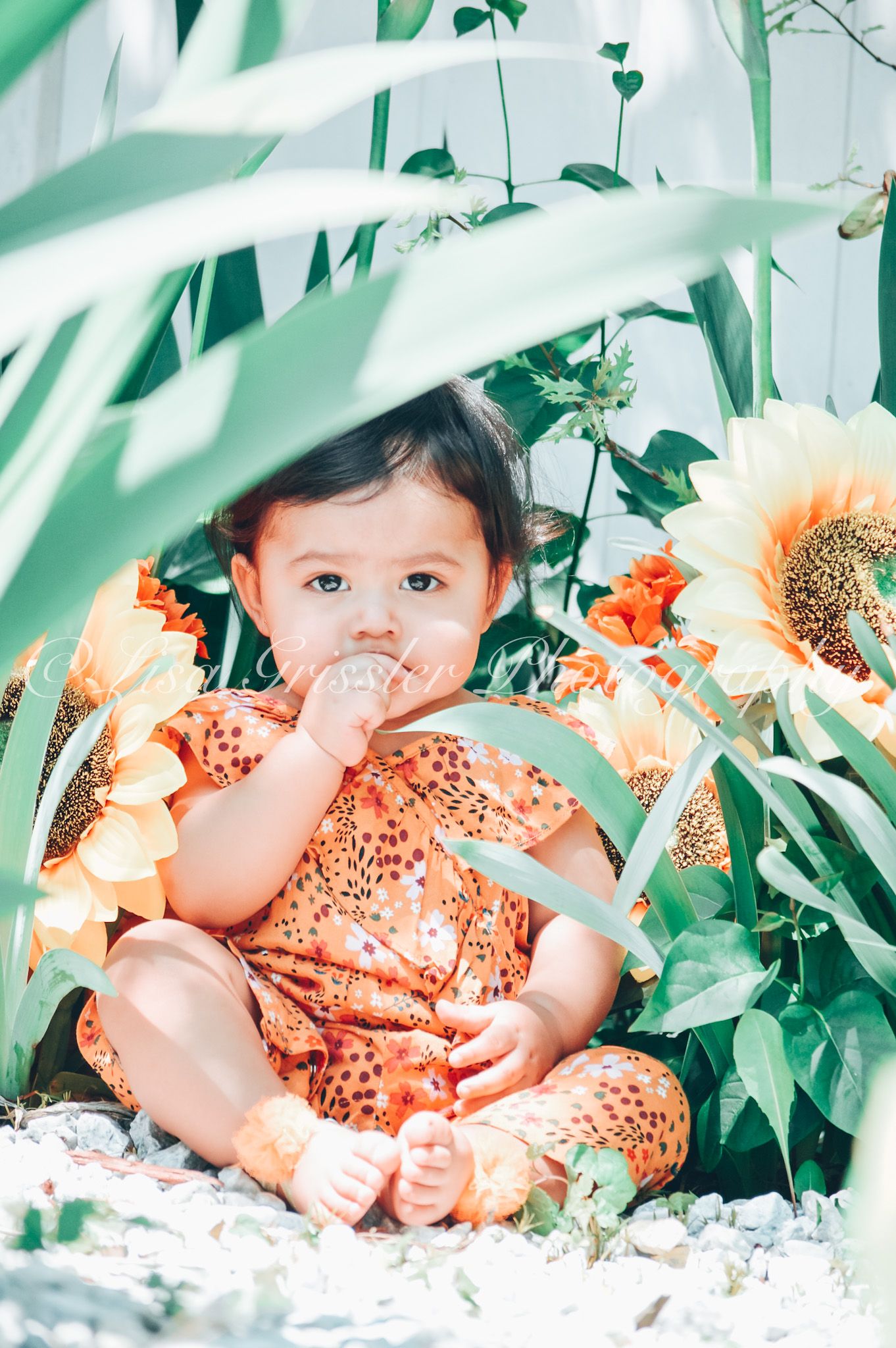baby photoshoot