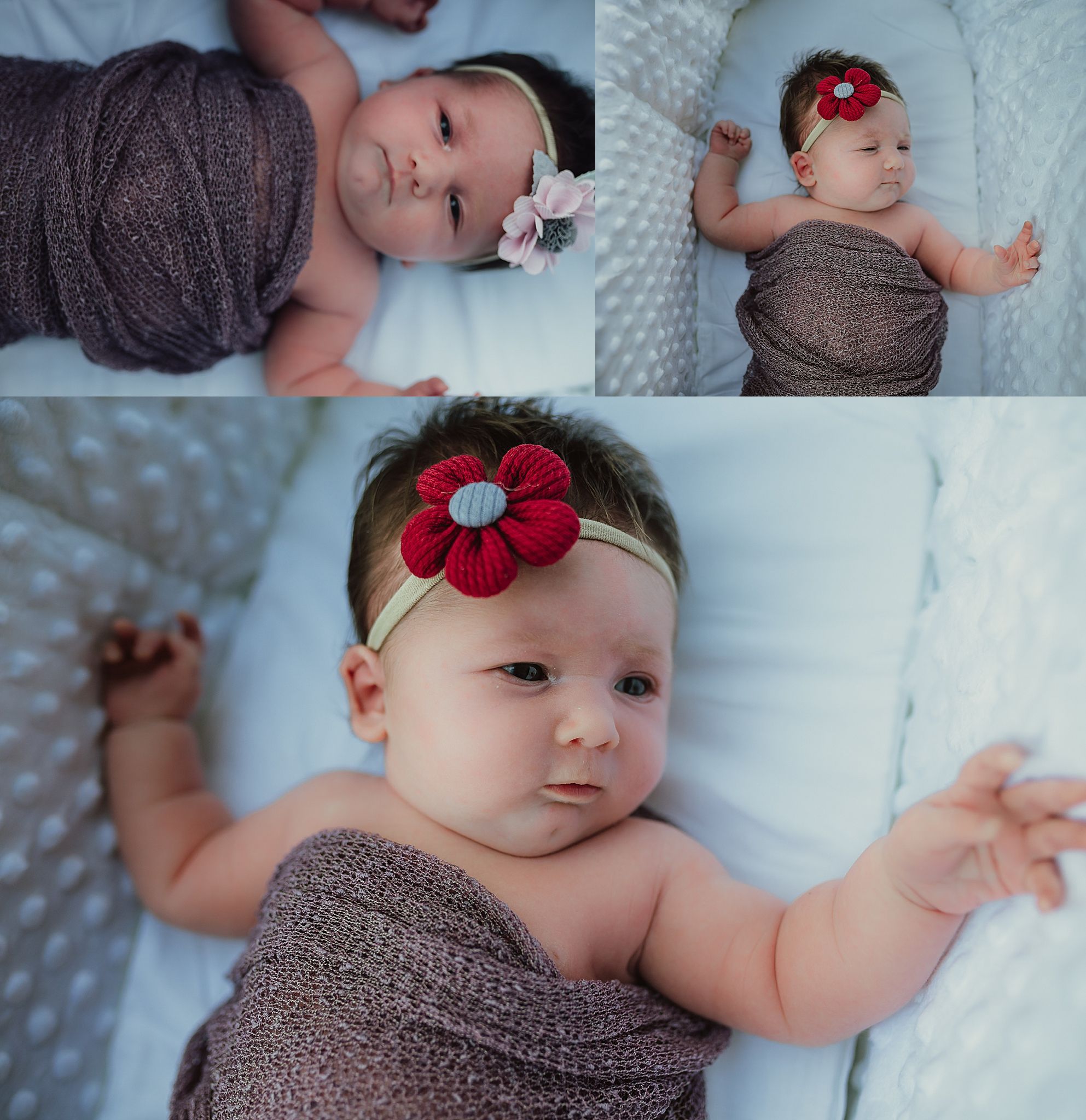 Summer Newborn Pictures Southern Indiana Photographer Wild Arrow