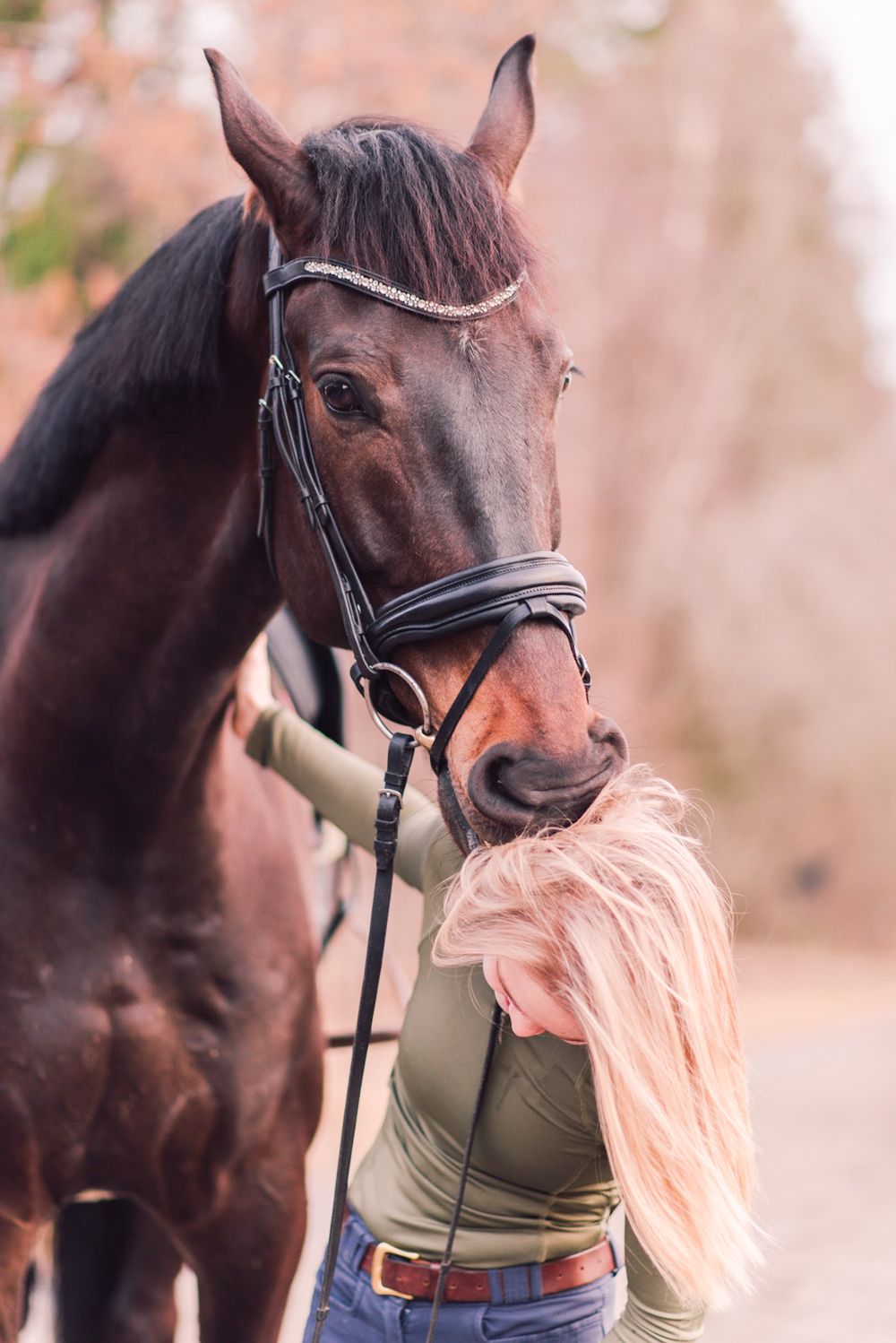 A close-up portrait of a bay horse wearing traditional English riding tack.
