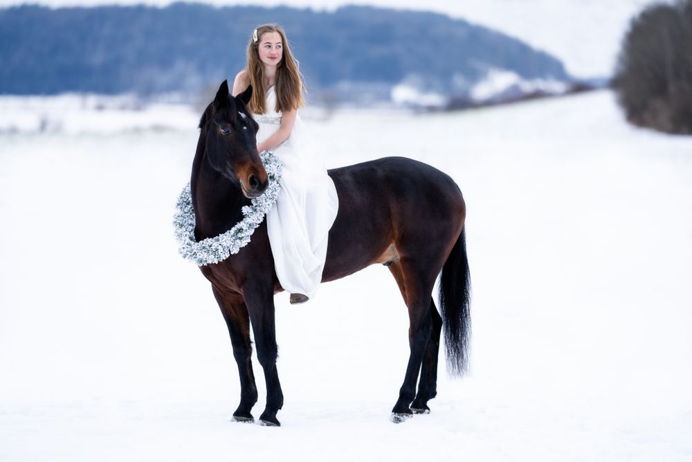 A black horse adorned with a floral crown stands in a snowy winter landscape.
