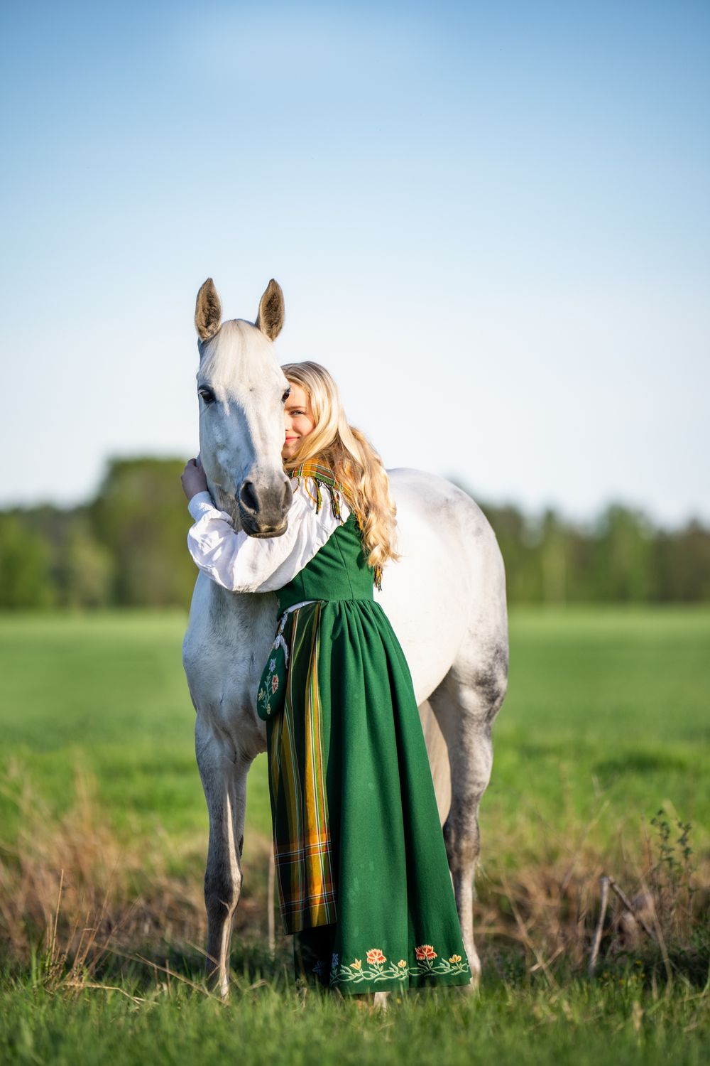 A majestic white horse receives affection in a green summer meadow.
