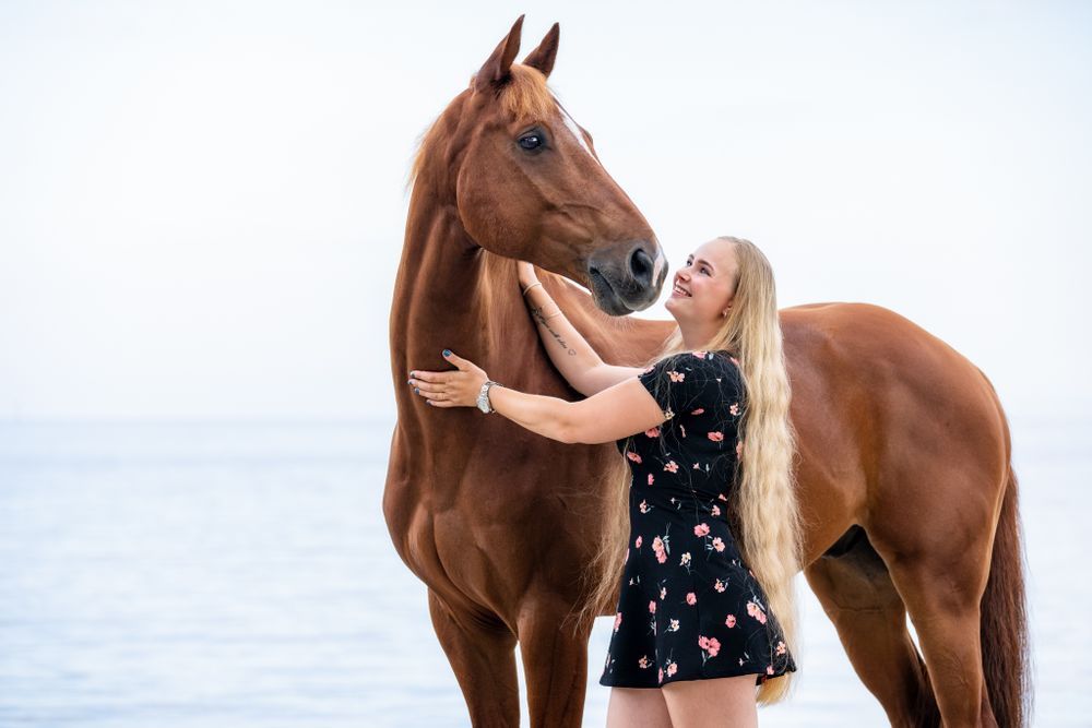 A beautiful chestnut horse stands on the beach while being embraced in a loving moment.