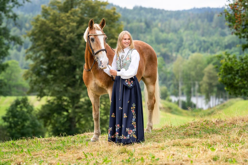 A paint horse stands with its companion against a scenic mountain backdrop.