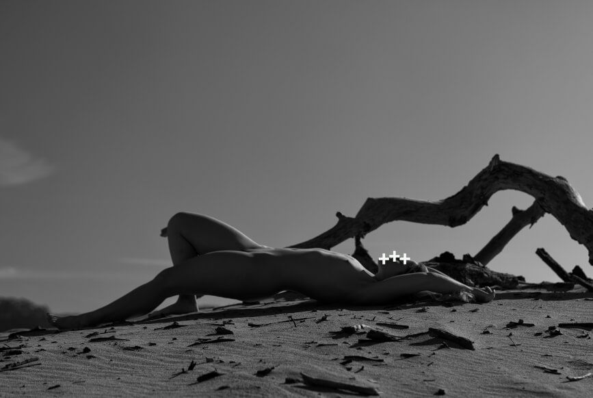 Black and white landscape with driftwood and natural forms on beach.