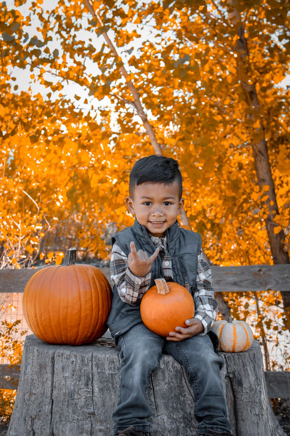 Child sitting on tree stump with pumpkins during fall photo session with orange foliage background.