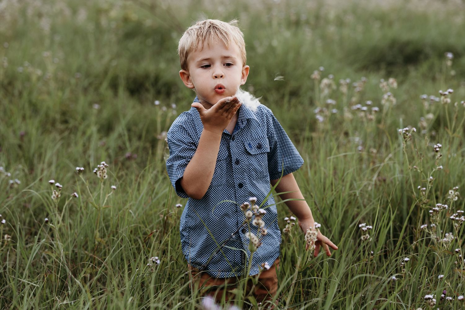 A child in denim exploring wildflowers in a meadow during summer.