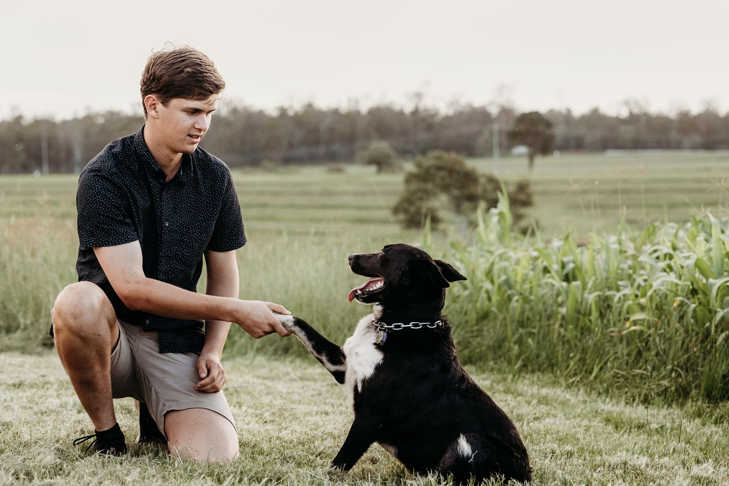 Person kneeling beside a black and white border collie dog in a grassy meadow.