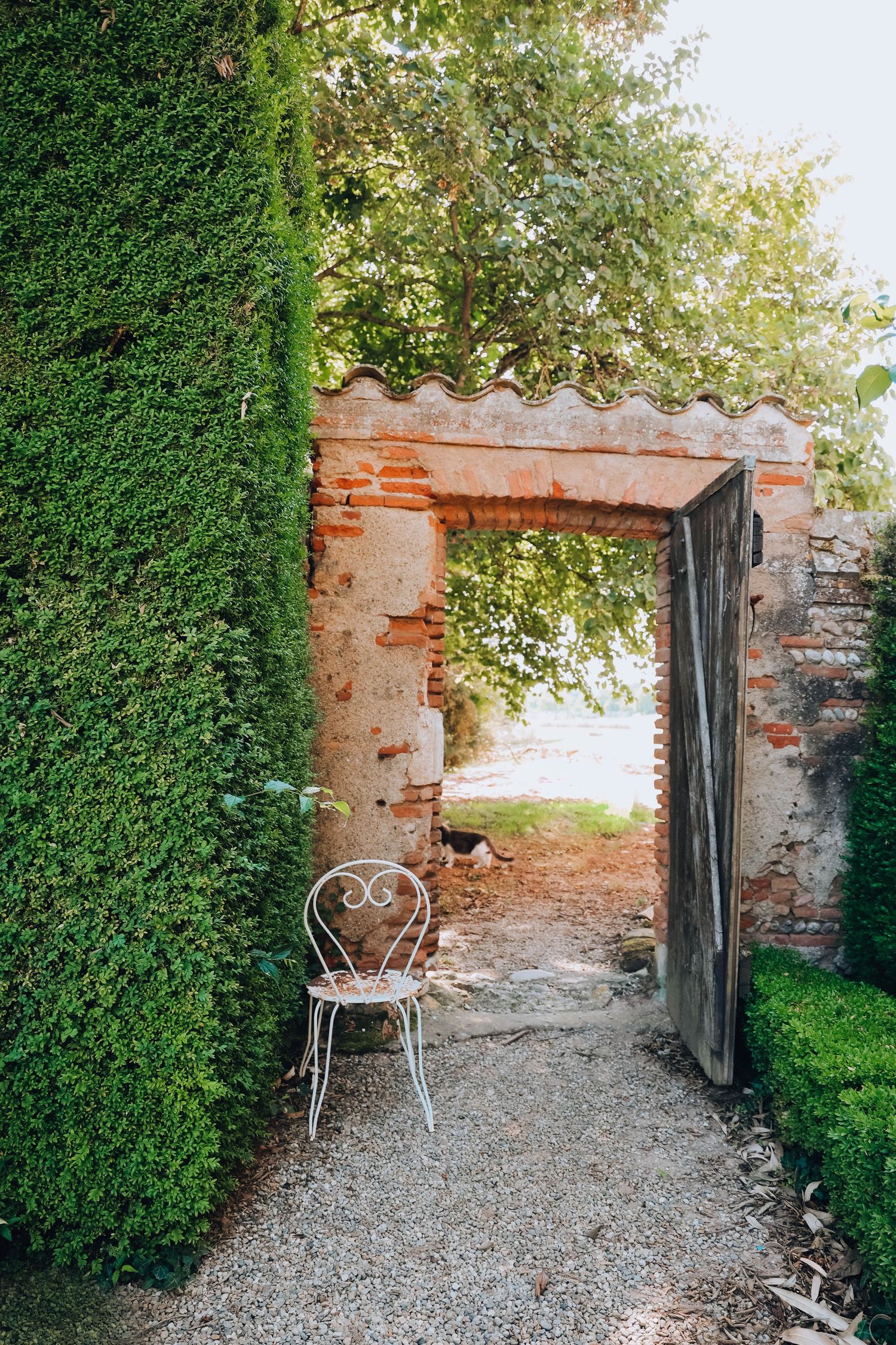 mariage chateau lastours gaillac photographe