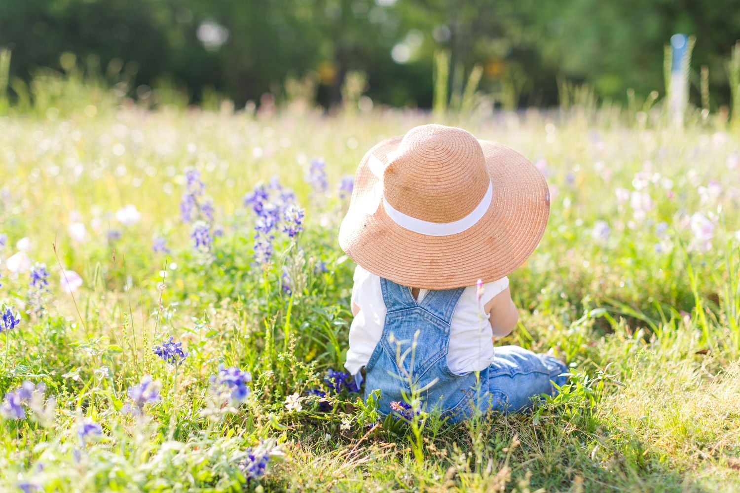 Person wearing a sun hat sitting among blooming bluebonnets in a sunny meadow.