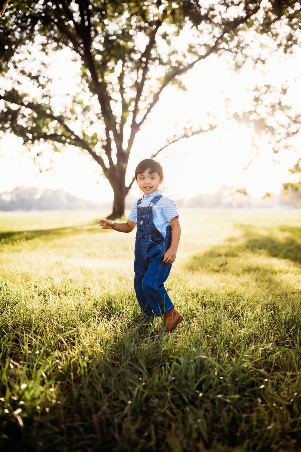A young child in denim overalls walks through a sunlit green field with a large tree glowing in the background.
