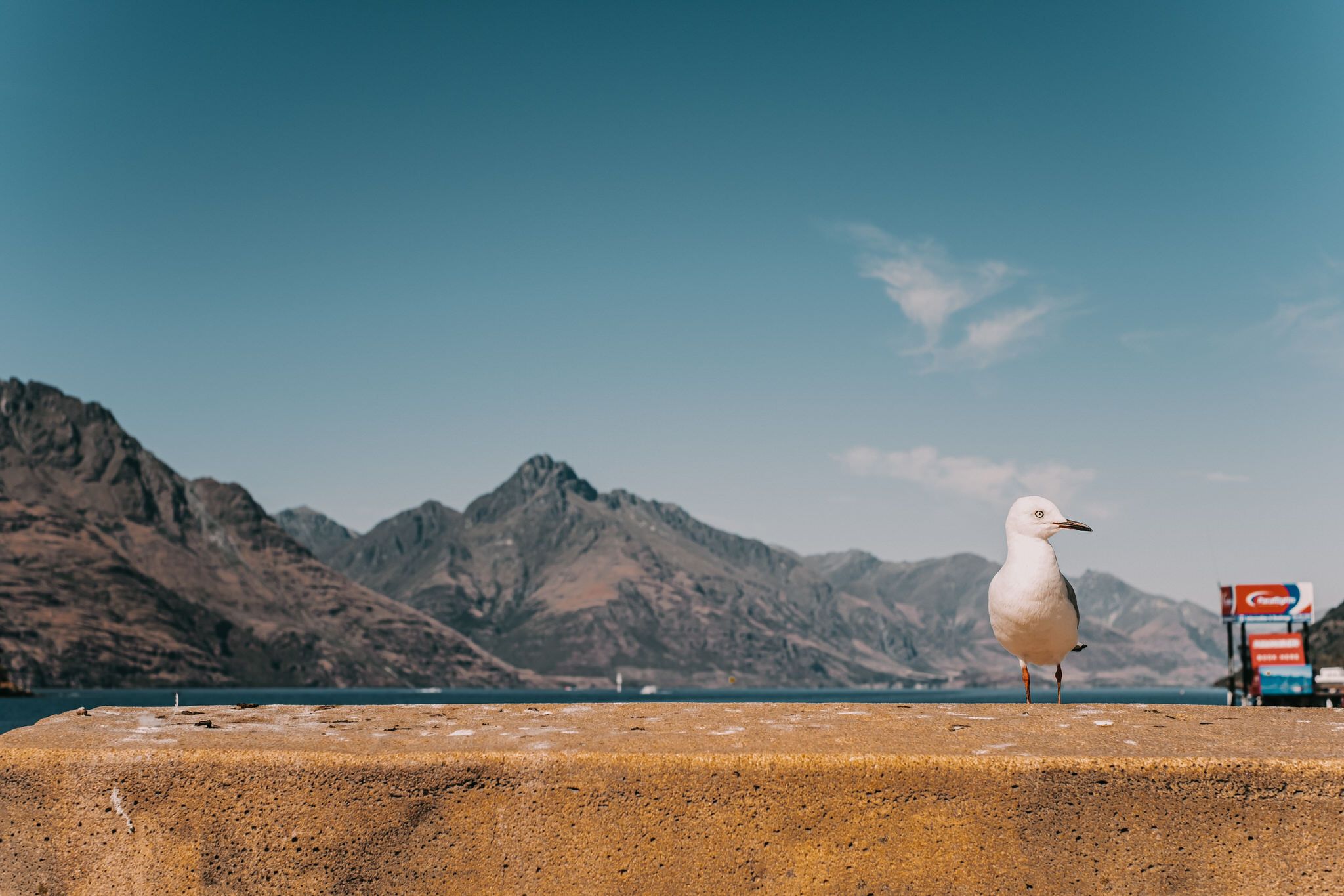 A seagull perches on a railing against a scenic backdrop of rugged mountain peaks and turquoise sky.