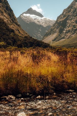 Majestic snow-capped mountain peak towers over golden grassland and a rushing stream in a dramatic alpine valley.