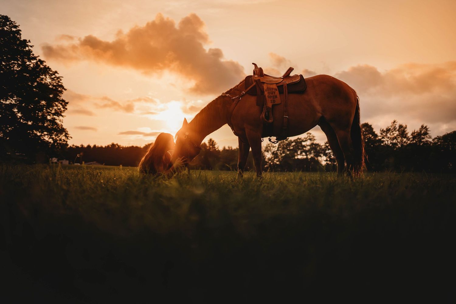 Horse grazing in field at sunset with golden sky.
