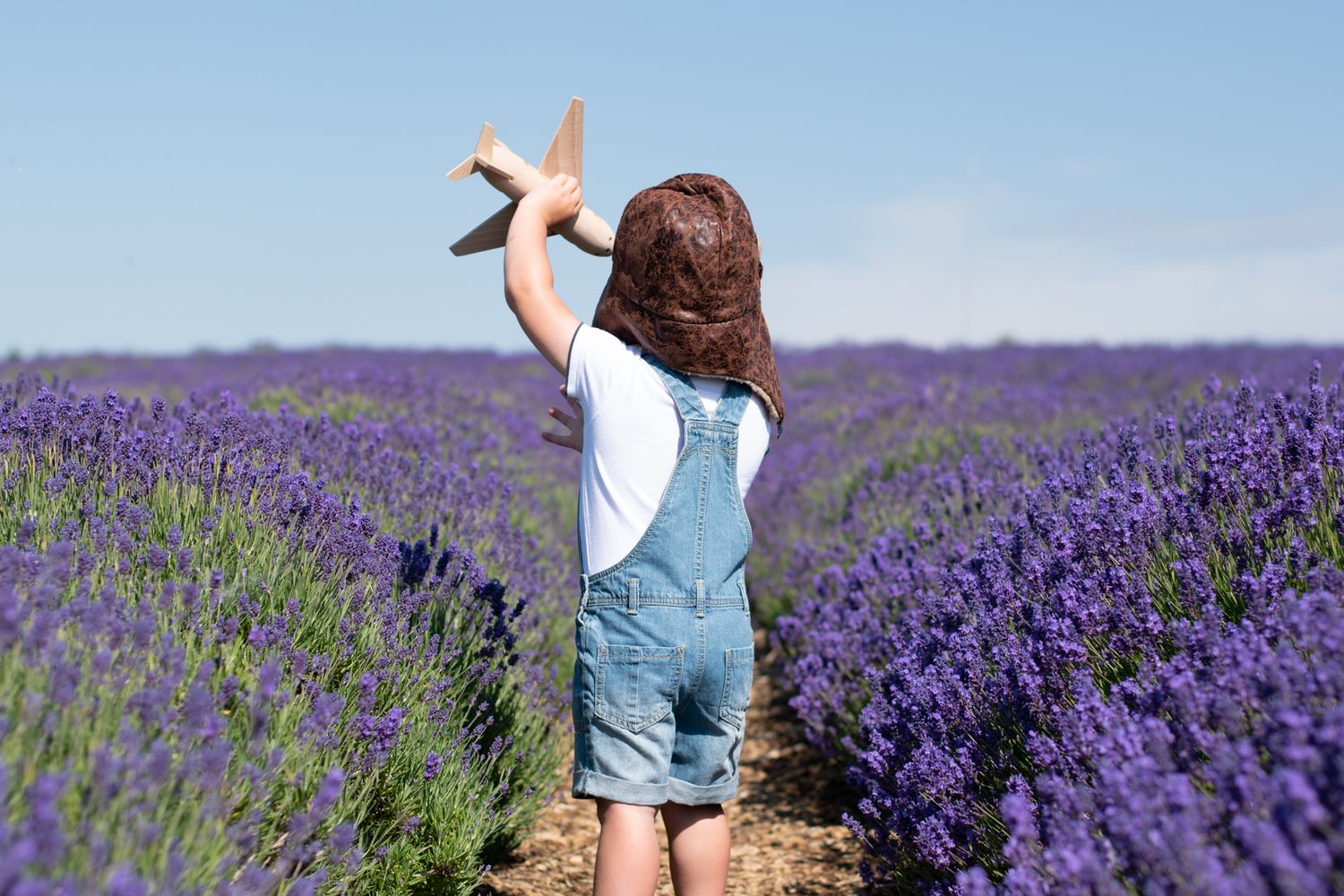 Bromsgrove Worcester newborn baby photoshoot photos sunflower lavender fields