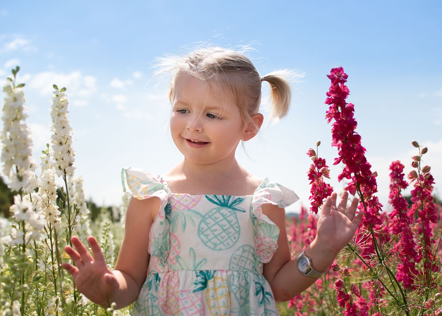 Bromsgrove Worcester newborn baby photoshoot photos sunflower lavender fields
