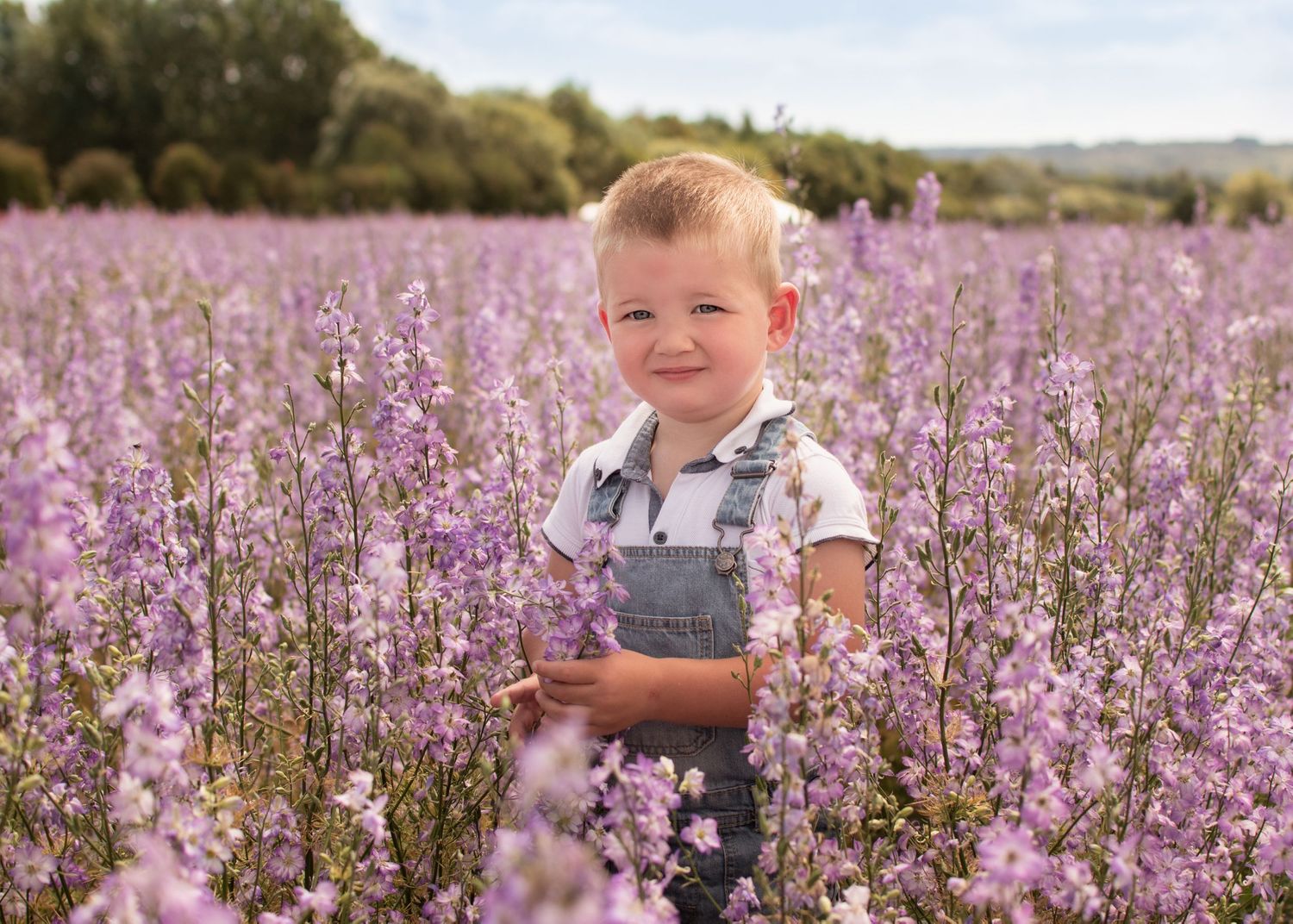 Bromsgrove Worcester newborn baby photoshoot photos sunflower lavender fields