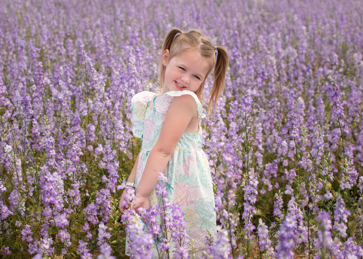 Bromsgrove Worcester newborn baby photoshoot photos sunflower lavender fields