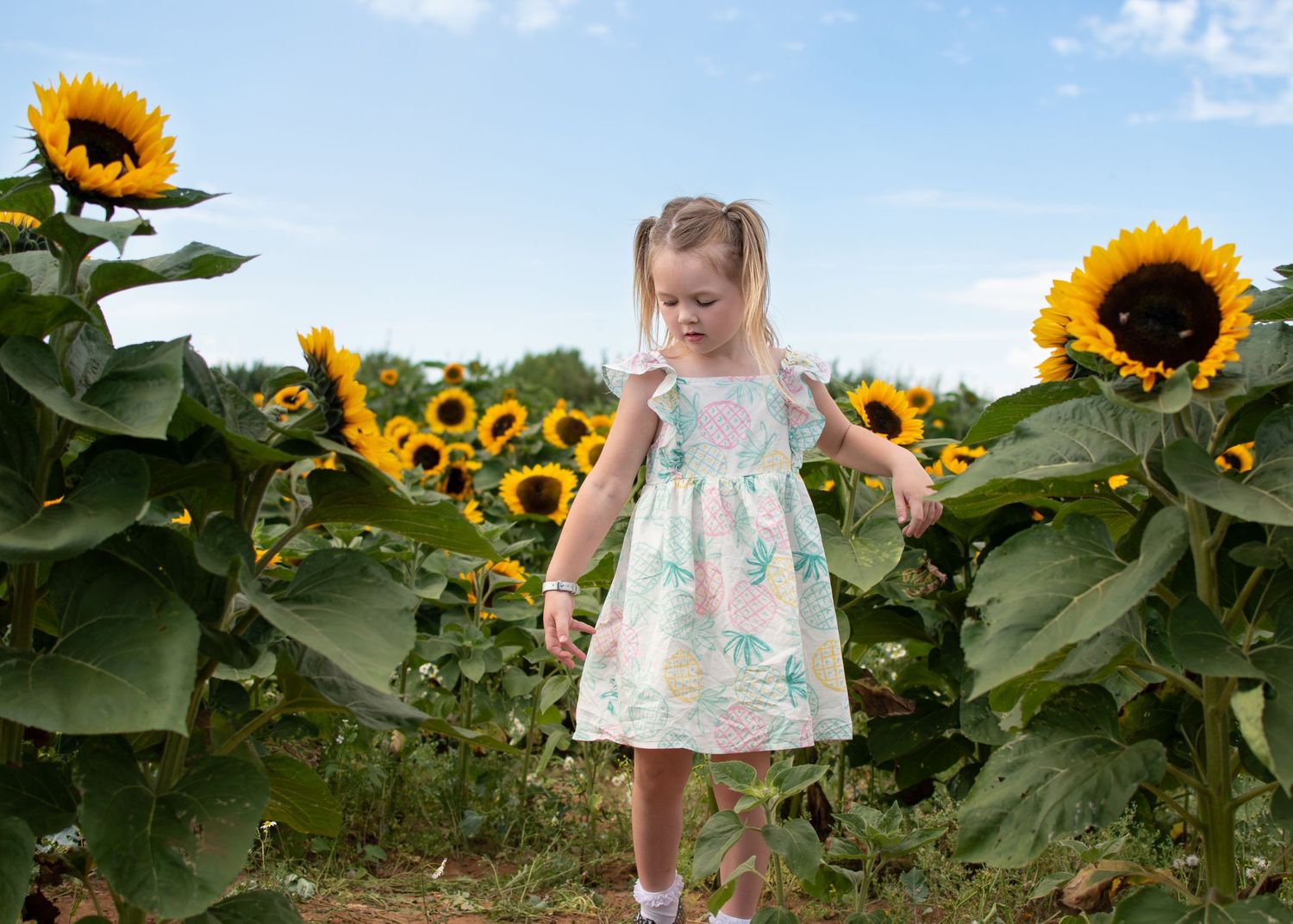 Bromsgrove Worcester newborn baby photoshoot photos sunflower lavender fields