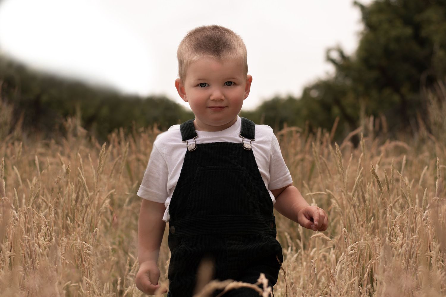 Bromsgrove Worcester newborn baby photoshoot photos sunflower lavender fields