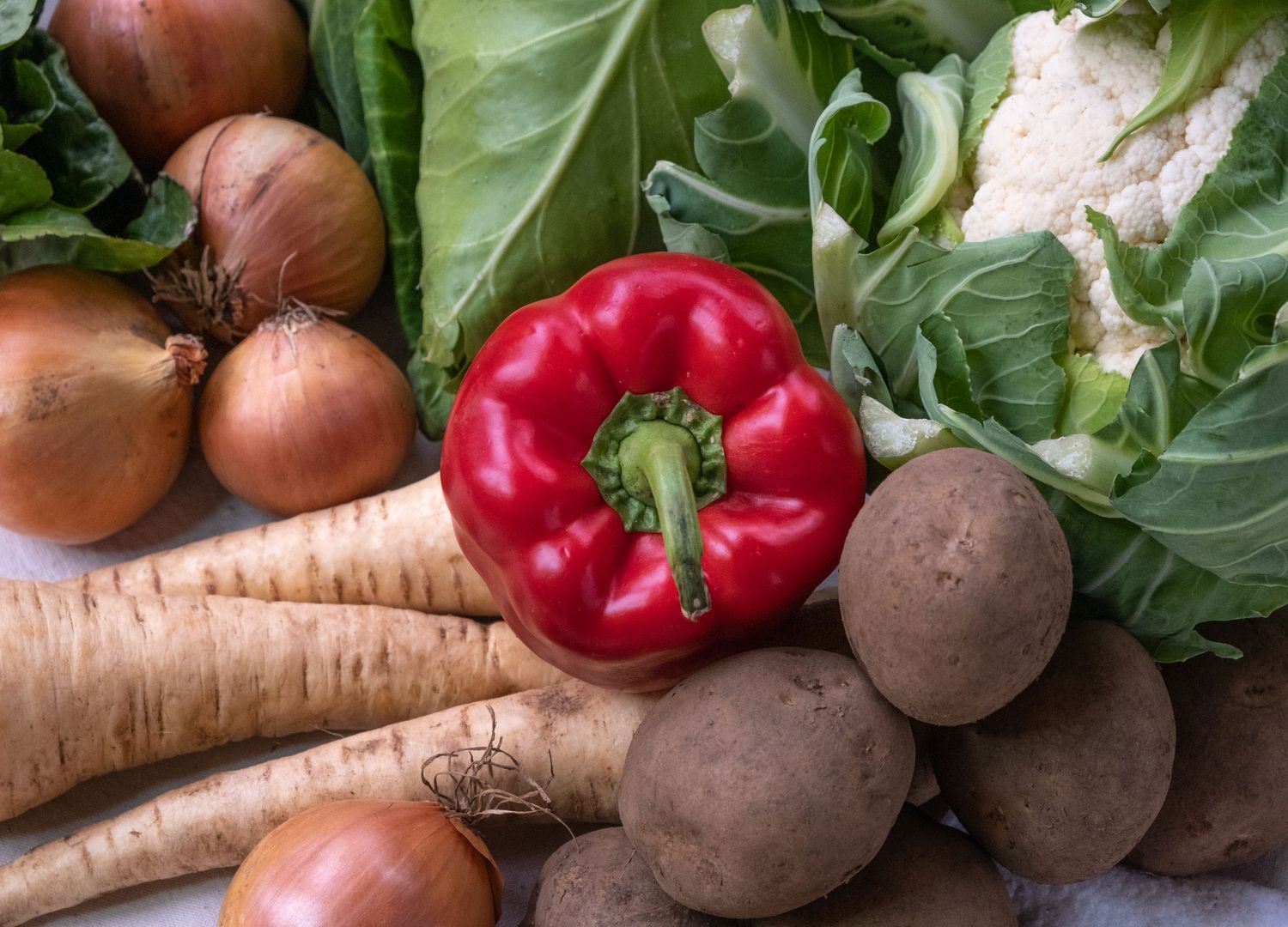 close up of organic vegetables