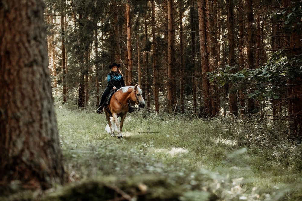 Horse and rider navigate through tall pine trees on forest trail.