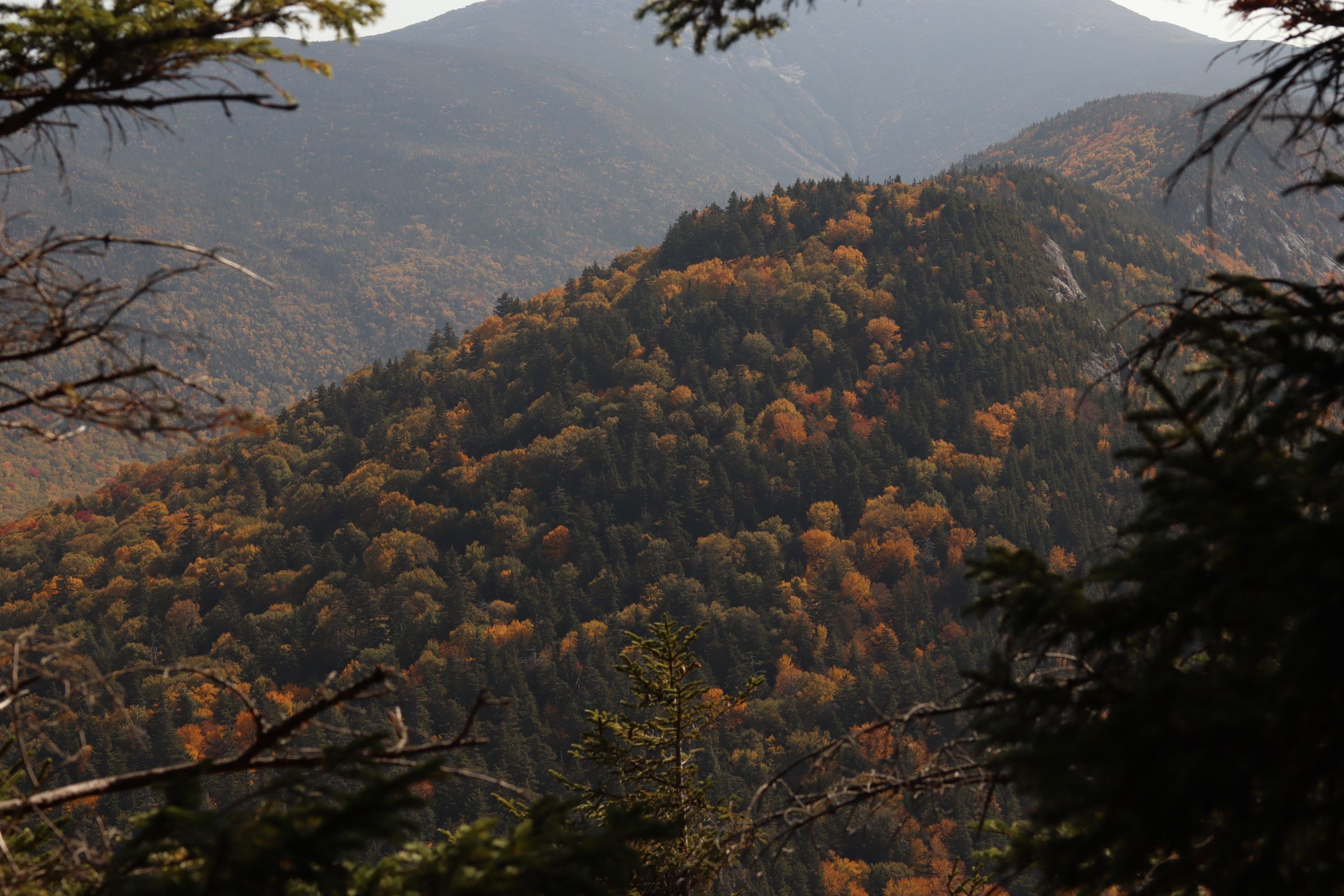 In New Hampshire fall foliage