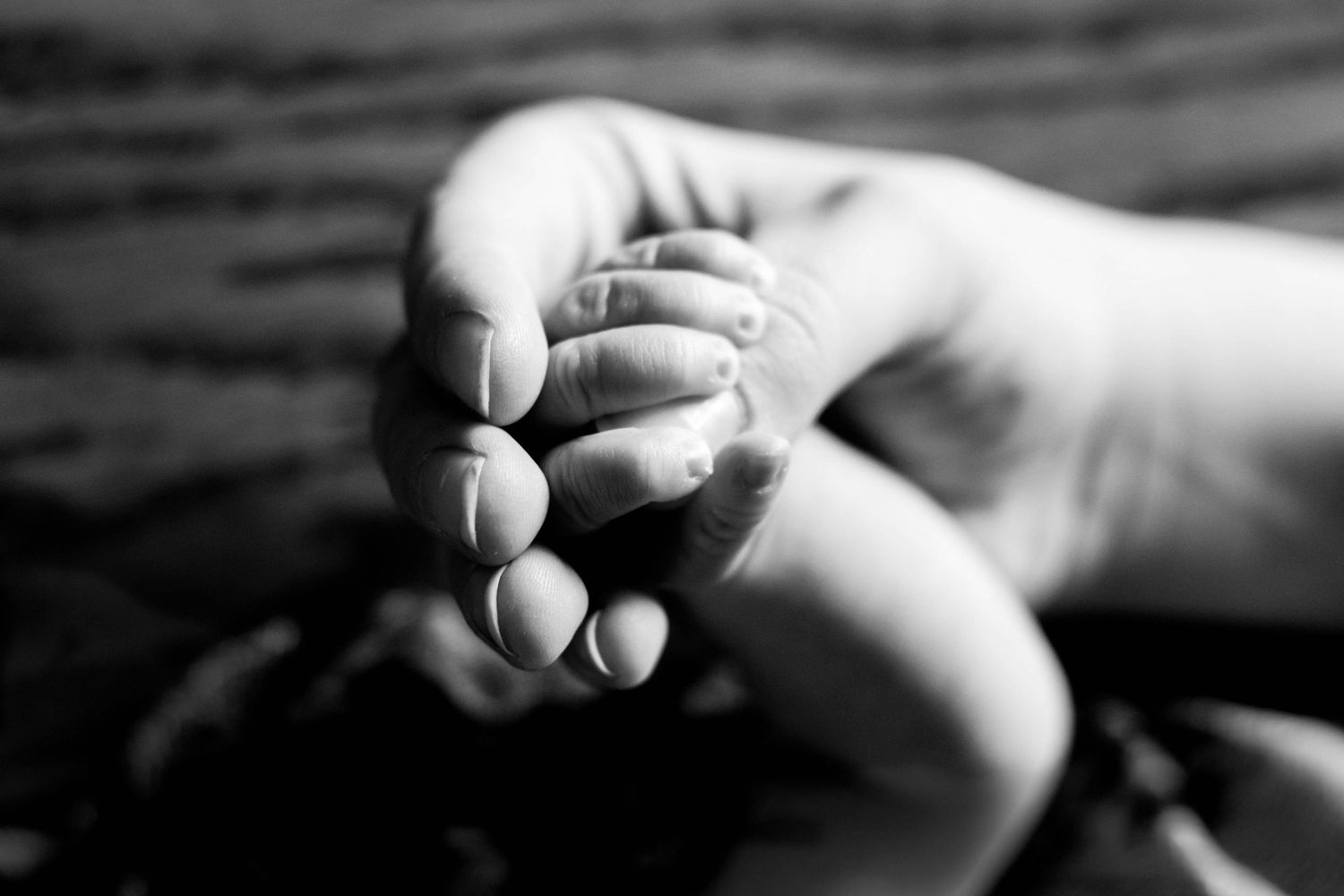 Black and white image of tiny baby hand holding adult finger.