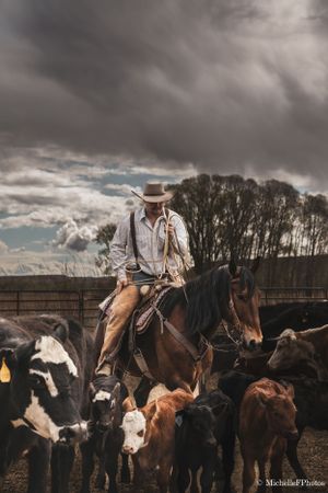 Cowboy on horseback herds cattle under dramatic stormy skies.