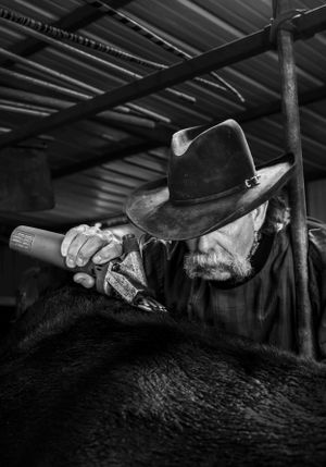 A close-up black and white photo of a rancher in a cowboy hat working under a metal roof structure.
