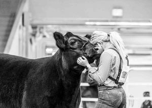 A tender moment captured in black and white between a person and a show cow in a barn setting.