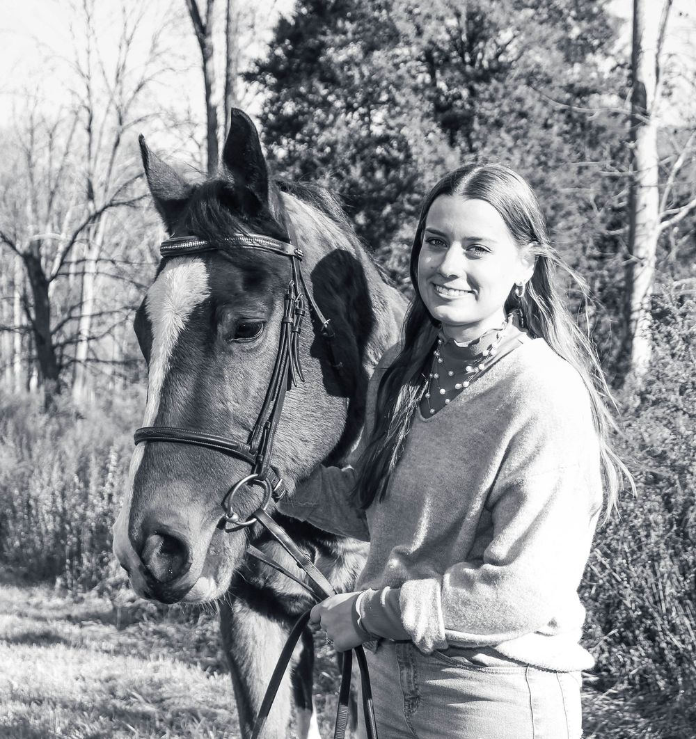 A black horse with bridle poses in front of bare winter trees.