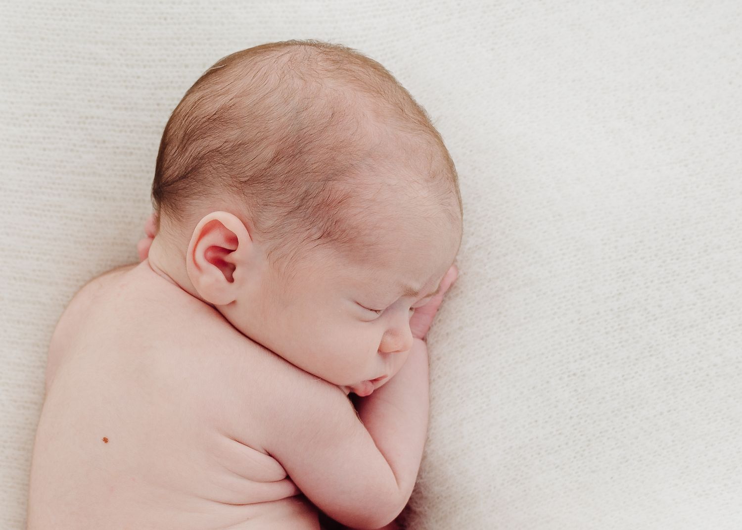 newborn studio houston photographer
