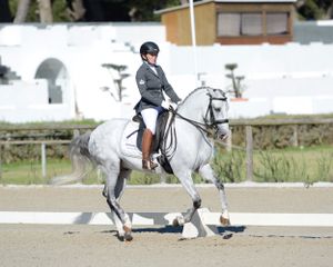 equine event