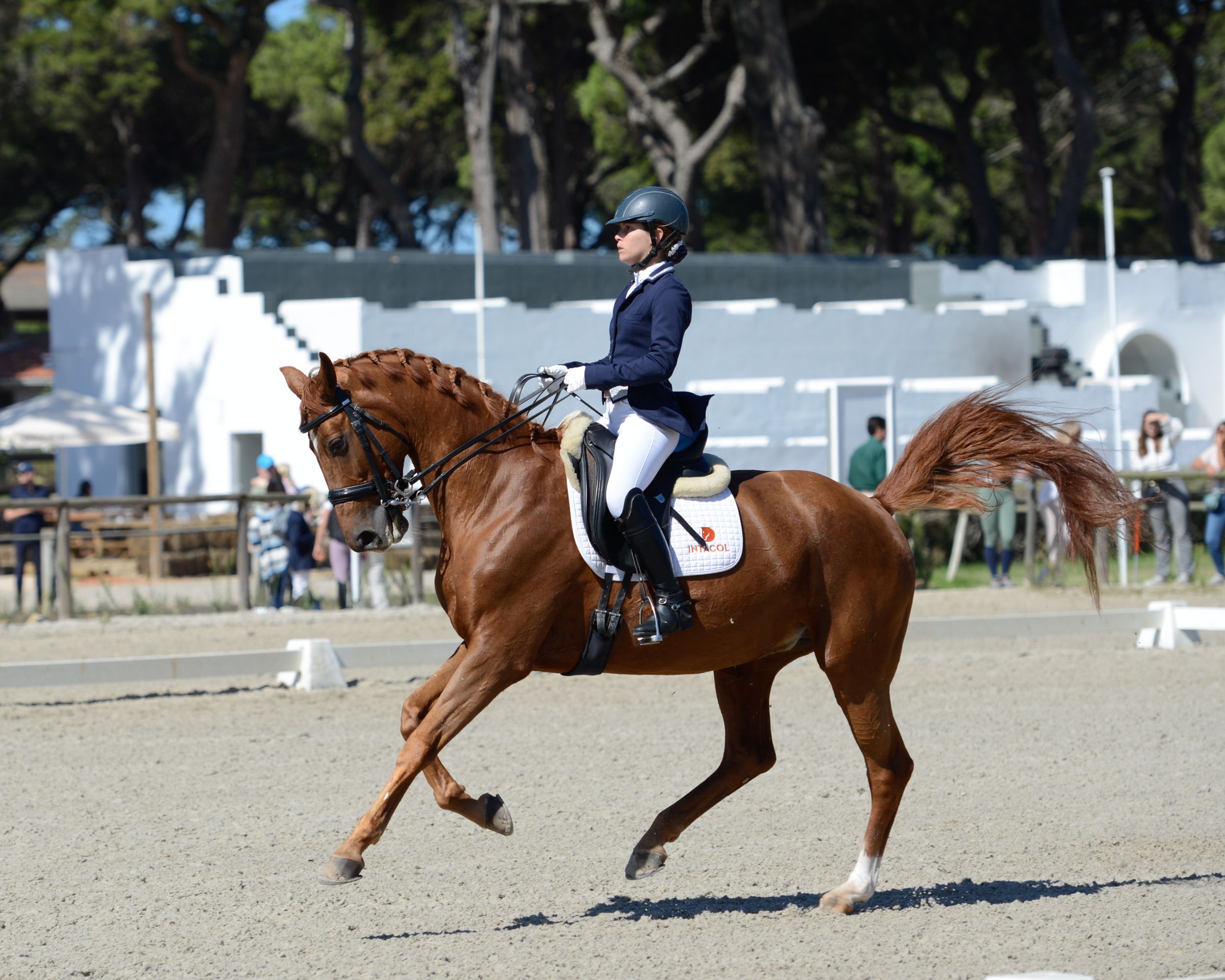 equine event