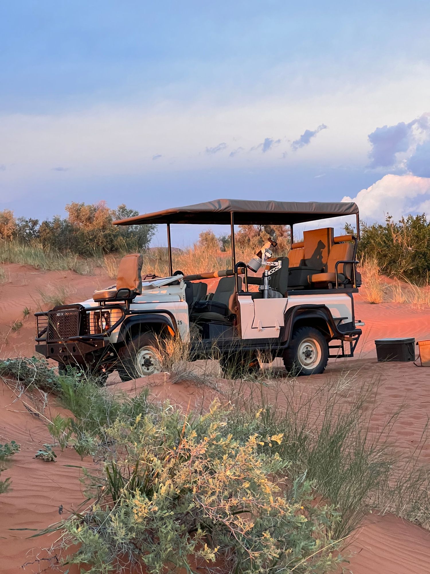 Safari vehicles line up in a desert landscape with orange sand dunes at sunset.