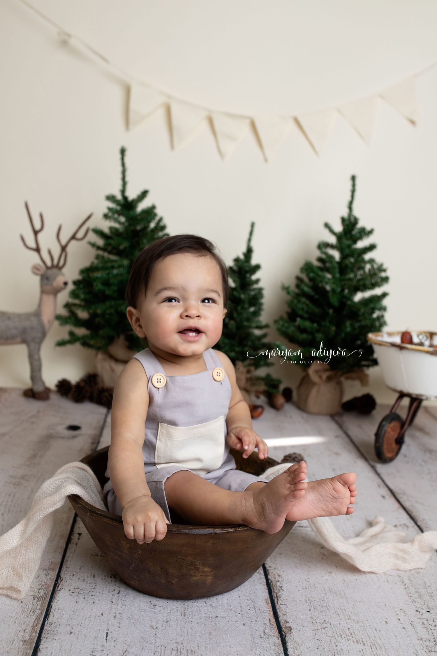 woodland cake smash session