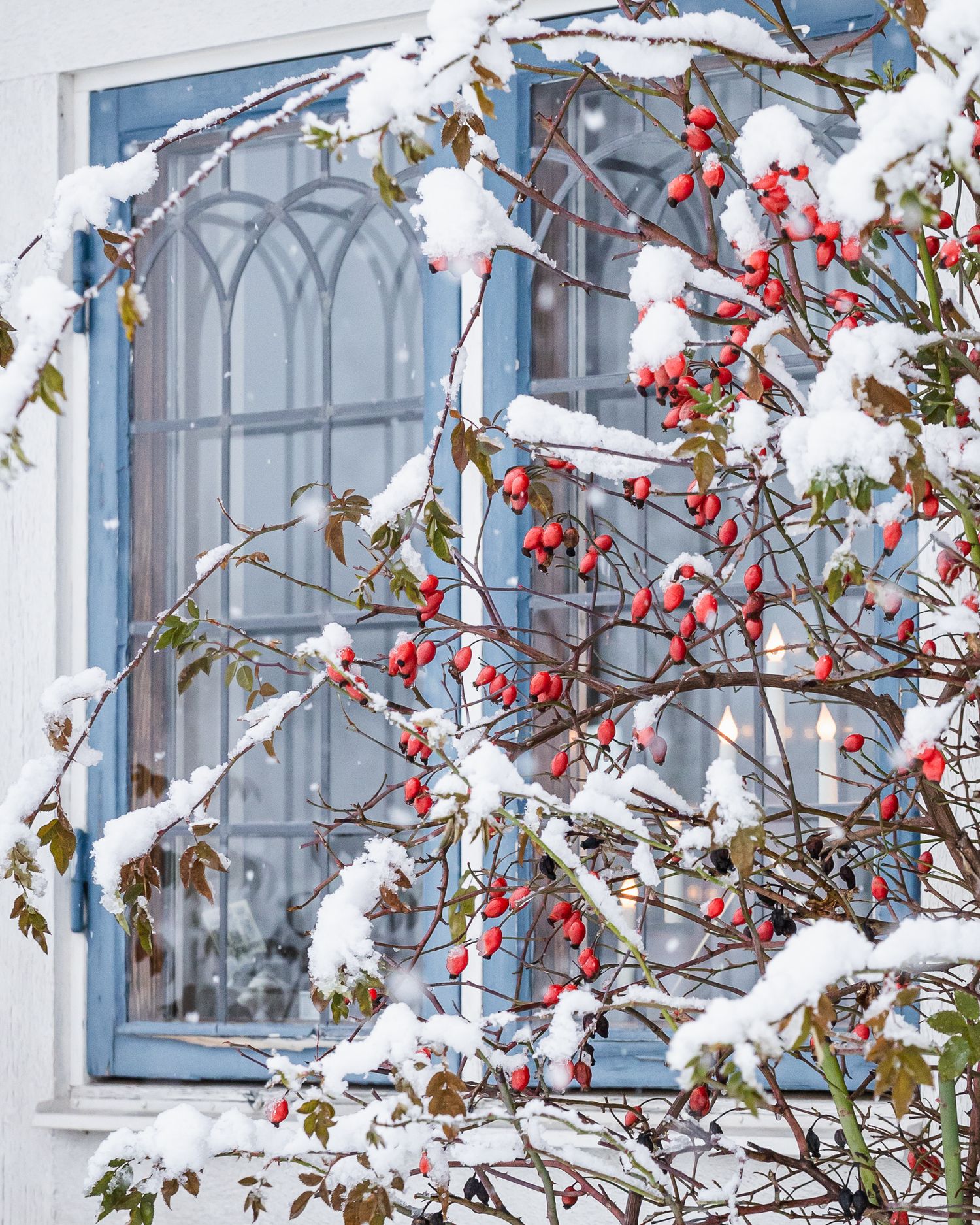 Företagsfotograf, Leksand, Dalarna. Företagsfotografering Masesgården, Leksand