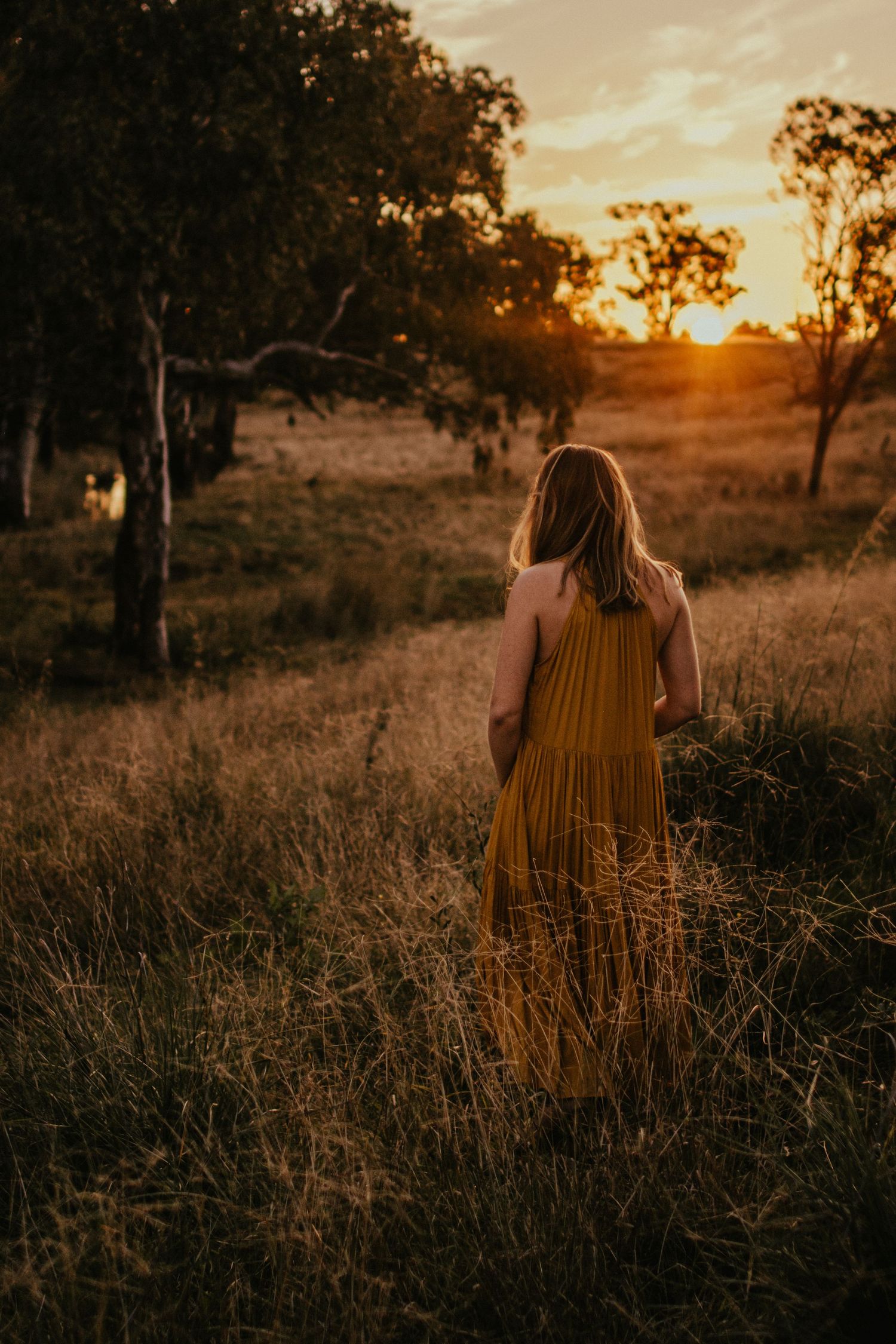 Women in a golden dress walking in a long grass paddock toward the golden light.