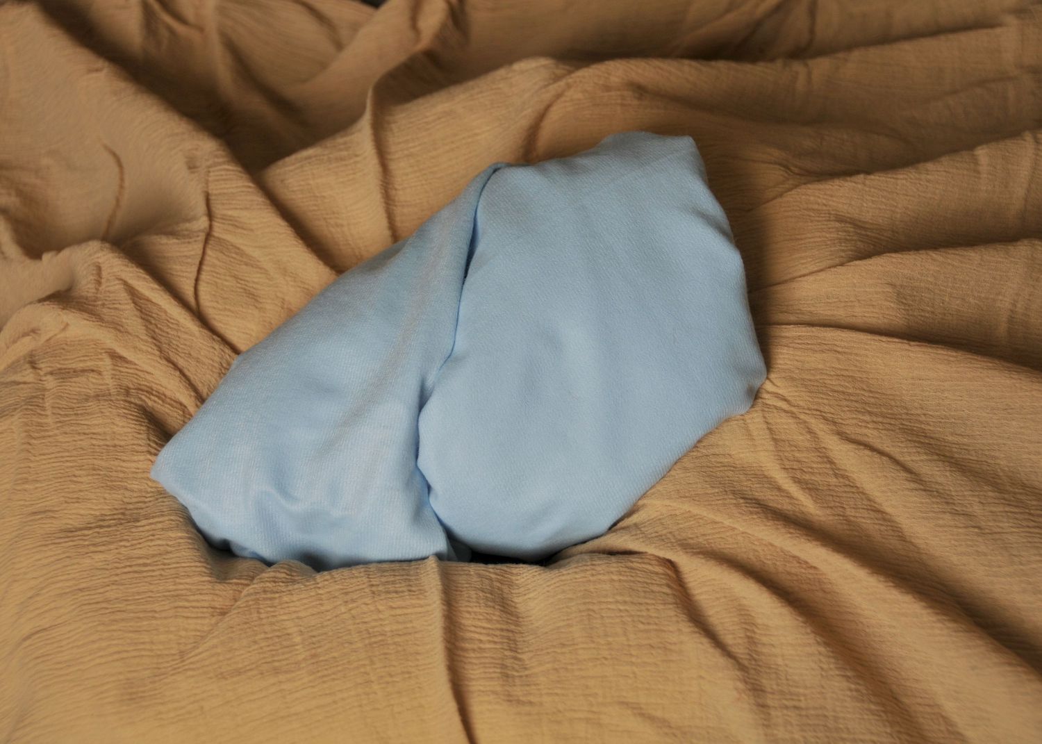 Blue wrap, neutral backdrops