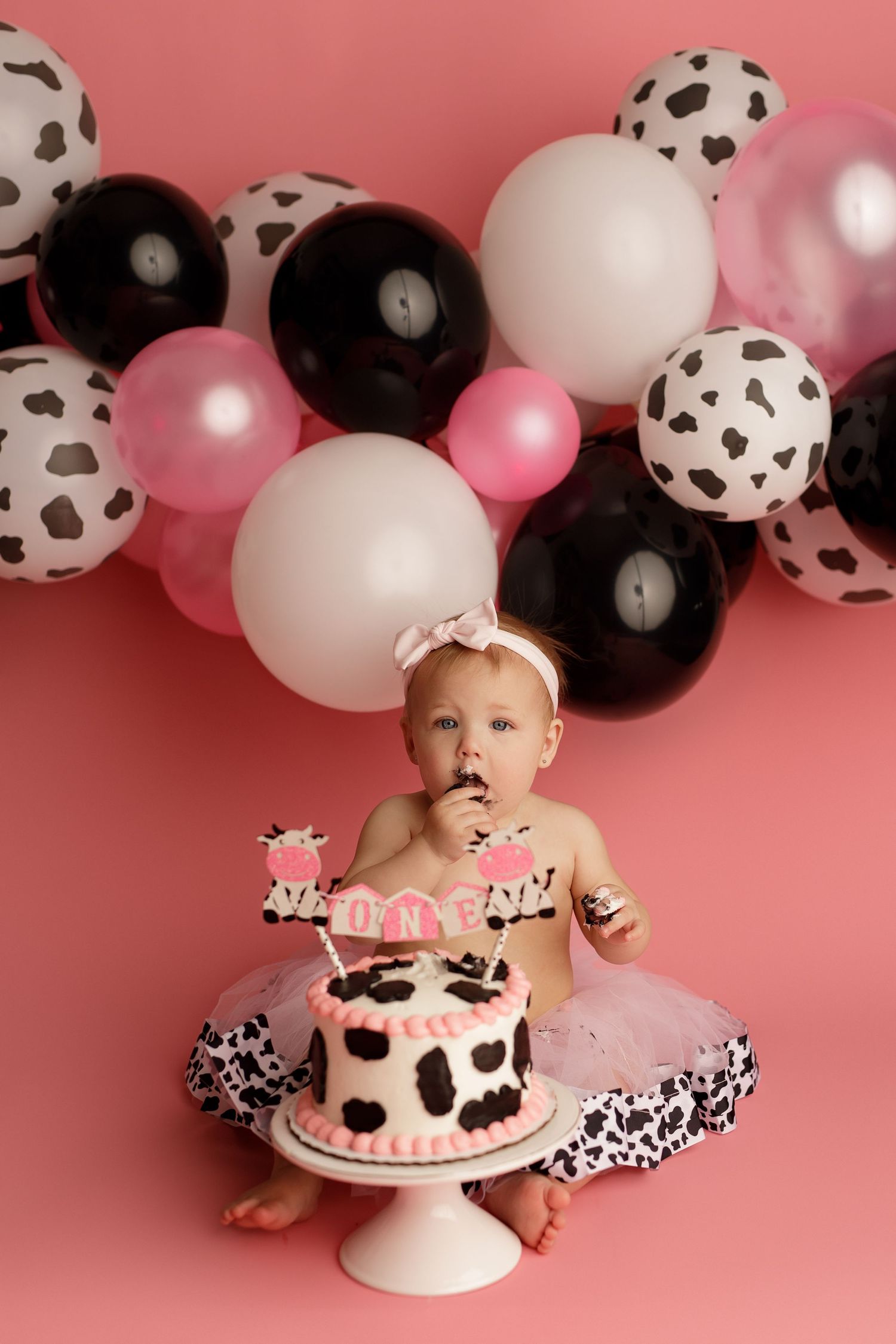Cake Smash Mini Sessions, Andover KS Baby Photographer, baby photography packages