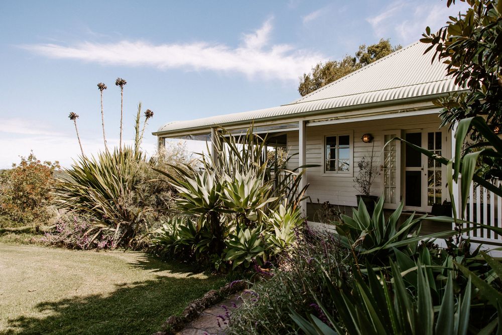 White cottage style house with coastal landscaping featuring agave plants and palm trees.