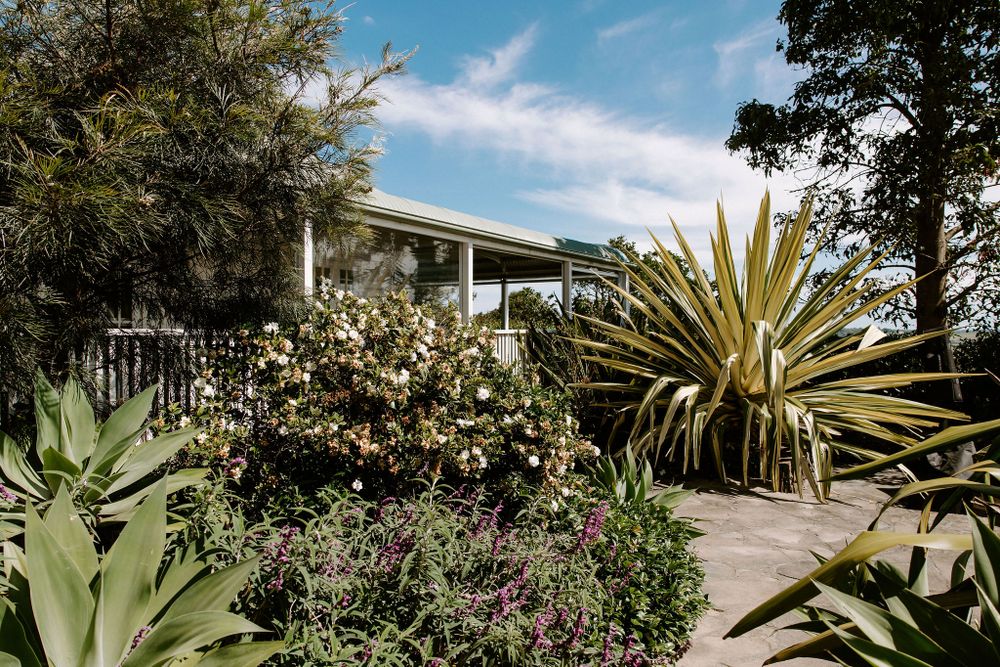 Modern house with contemporary landscaping featuring large agave plants and flowering shrubs.