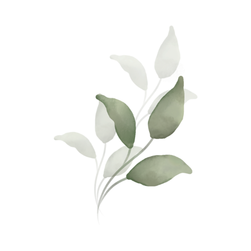 A delicate botanical illustration of pale green leaves on a black background.