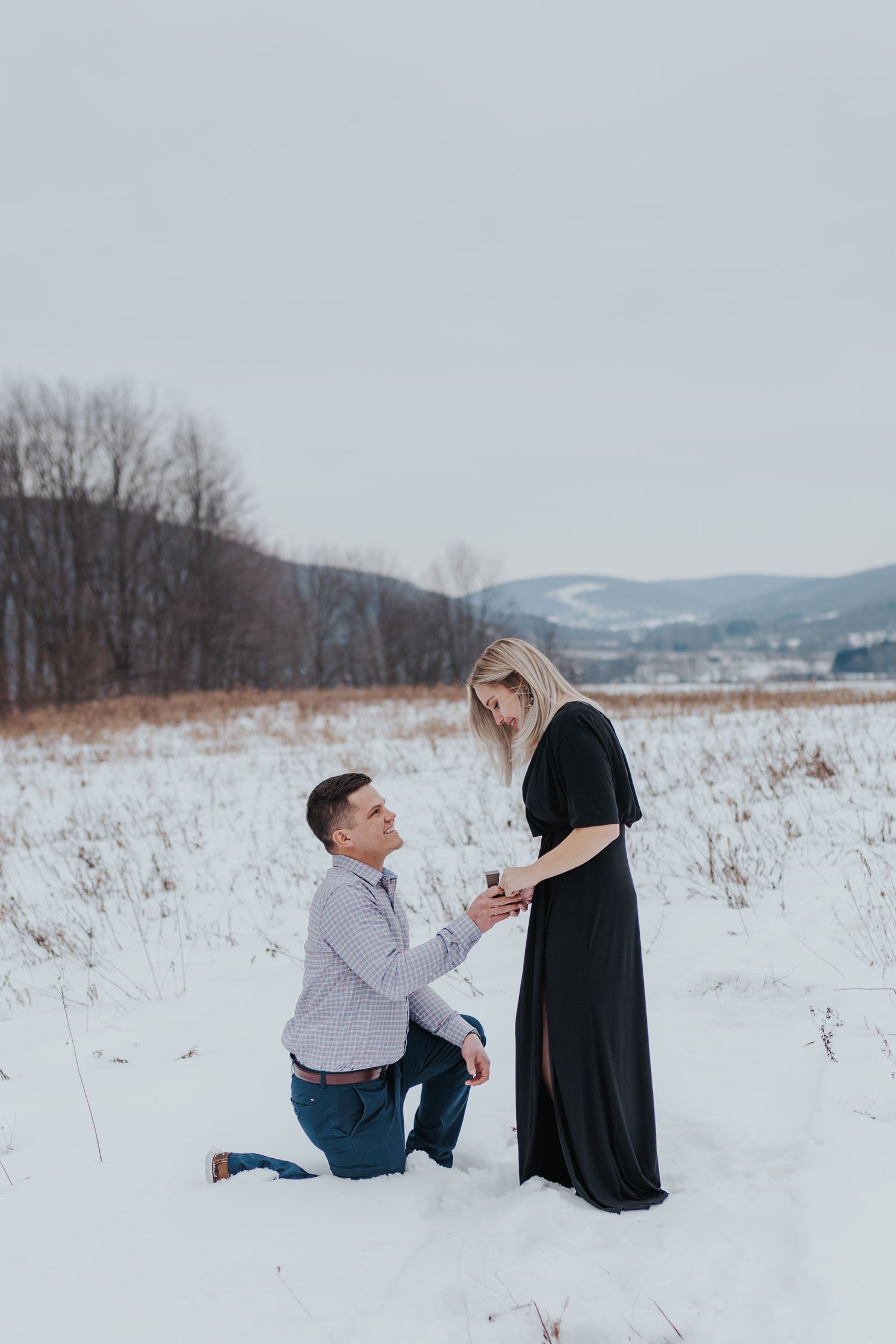 ellicottville ny proposal