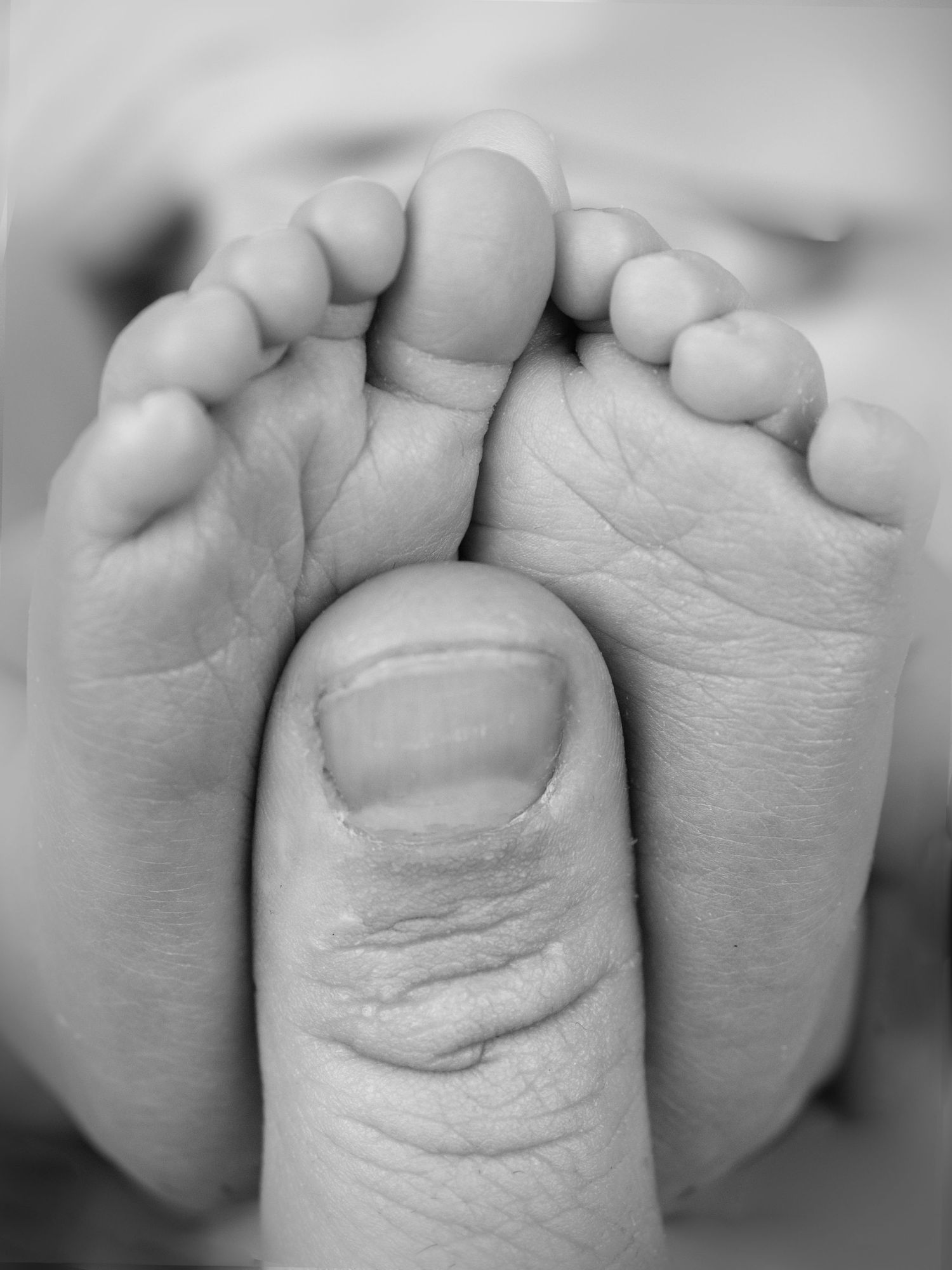 newborn baby feet with fathers thumb in black and white