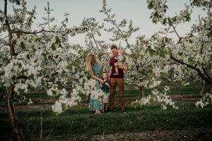 Family standing together among blooming white cherry blossoms in an orchard at dusk.