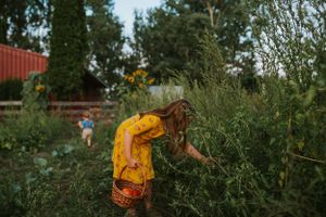Person in yellow dress picking flowers in a lush garden during golden hour.