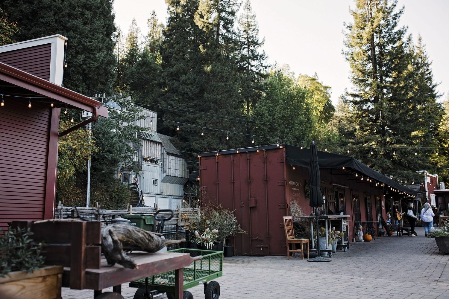 Downtown Mill Valley.