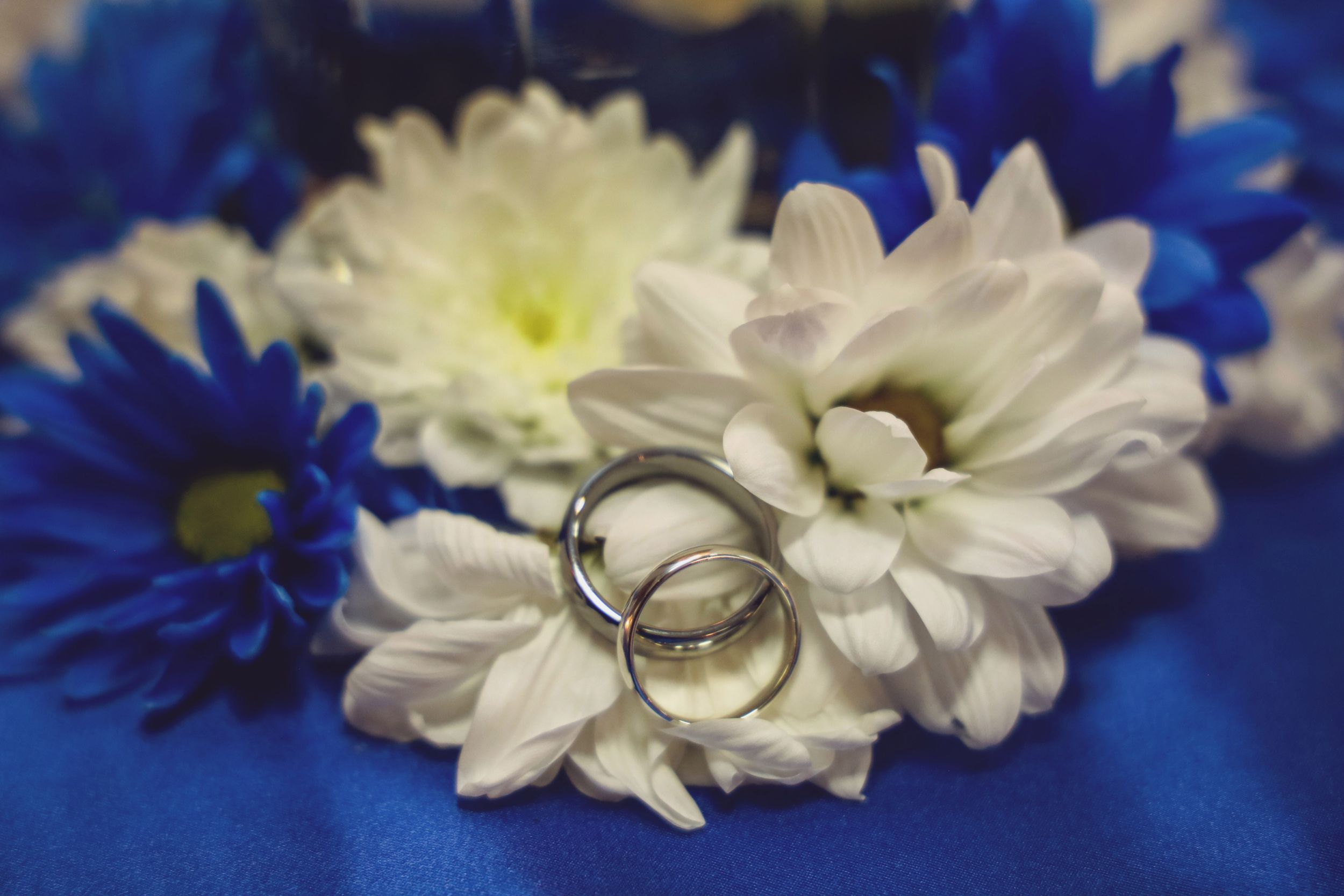 Wedding Photographer photography couple couples engagement ceremony reception flowers rings dresses decoration