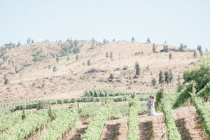 Kitsap wedding photography of bride and groom at a distance in a vineyard.